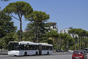 Albansko: Tirana