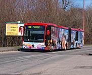 Bratislava: autobusy