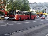 Bratislava: autobusy DPB