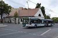 Potsdam