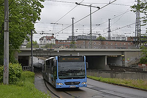 Ulm