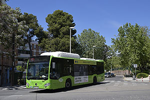 Córdoba