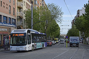 Jaén