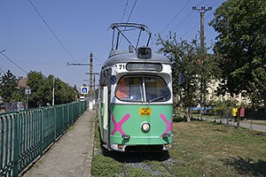 Arad