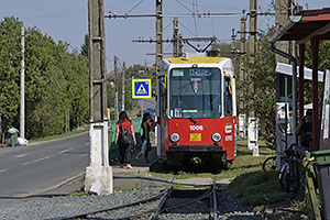 Arad