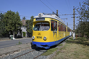Arad