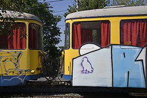 Arad