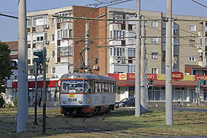 Arad