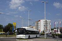 Baia Mare