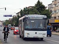 Bacau