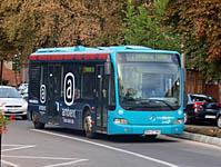 Bistrita