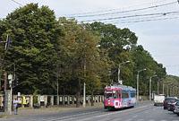 Iasi