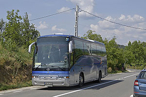 Surdesti