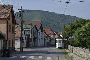 Rasinari
