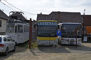 Rasinari