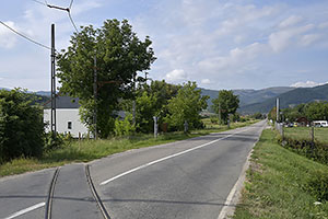 Rasinari