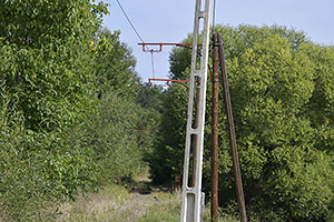 Rasinari