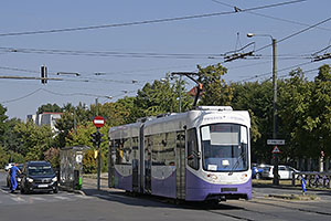 Timisoara
