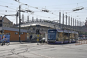Timisoara