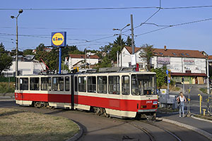 Belehrad