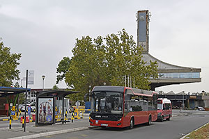 Belehrad