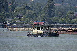 Dunaj, Smederevo: riečny remorkér, 13.7.2024 Dunaj