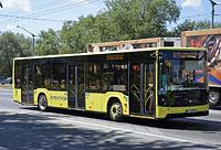 Ukrajina, Lvov