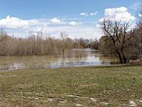 Bratislava: vysoky Dunaj zatopil uzemie pod Pristavnym mostom na Petrzalskej strane, 2.4.2006 Bratislava