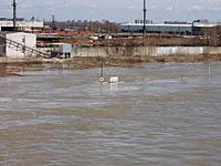 Bratislava: vysoky Dunaj - vstup do zimneho pristavu, 2.4.2006 Bratislava