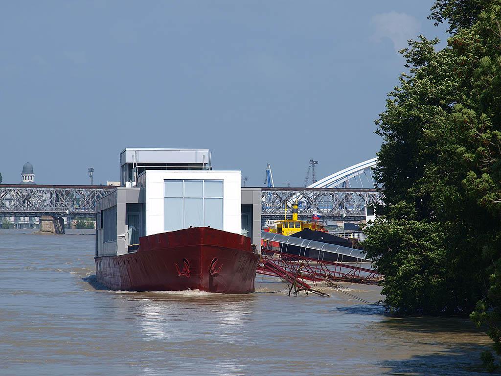 Bratislava: vysoký Dunaj, 7.6.2013 Bratislava