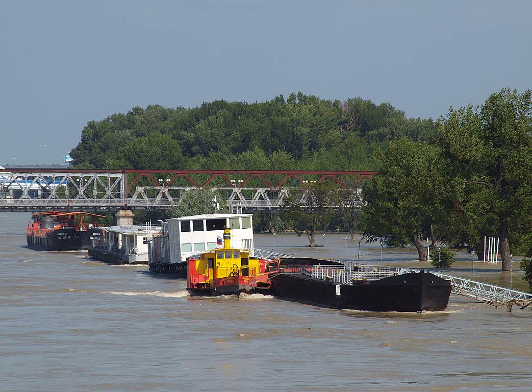 Bratislava: vysoký Dunaj, 7.6.2013 Bratislava