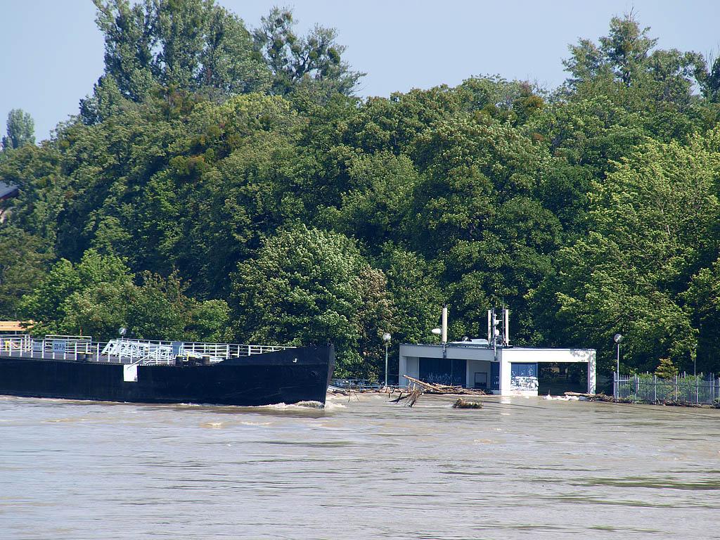 Bratislava: vysoký Dunaj, 7.6.2013 Bratislava