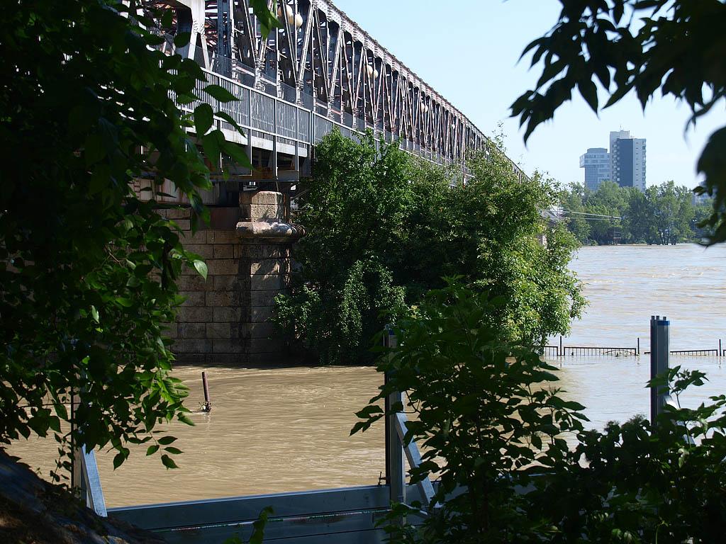 Bratislava: vysoký Dunaj, 7.6.2013 Bratislava