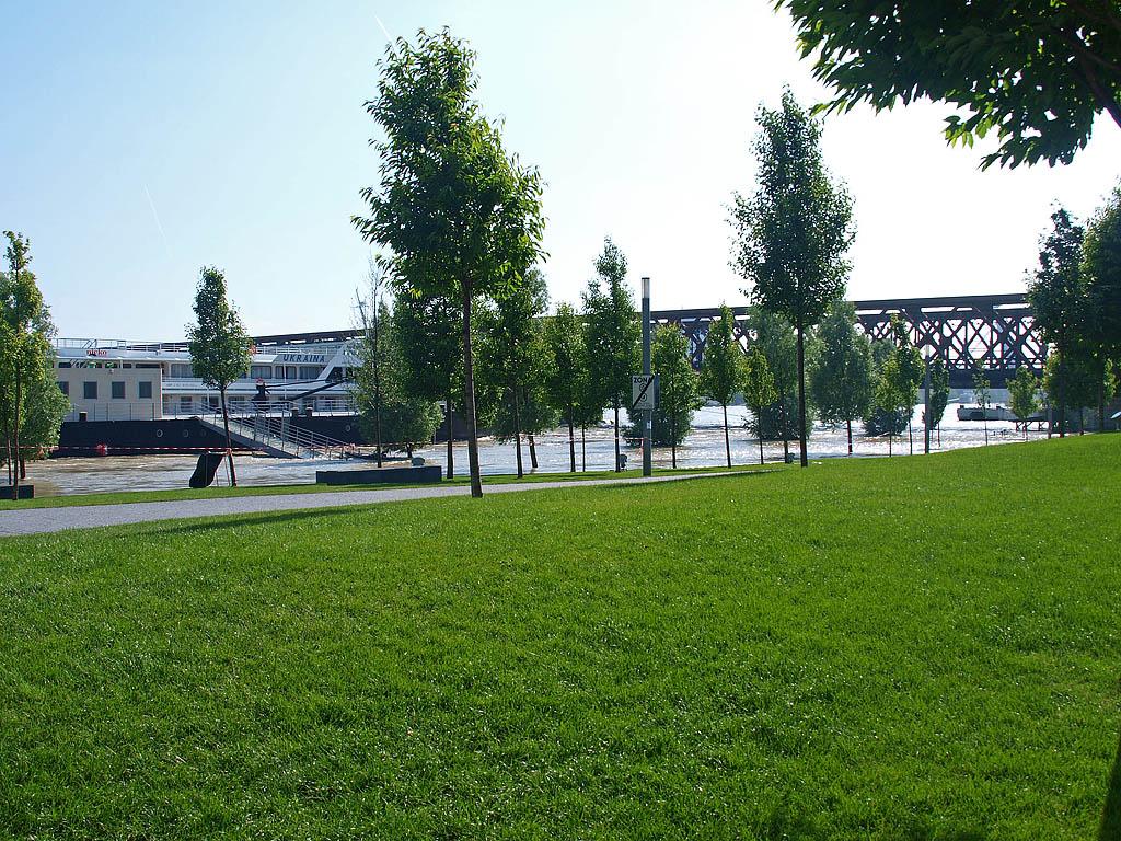 Bratislava: vysoký Dunaj, 7.6.2013 Bratislava
