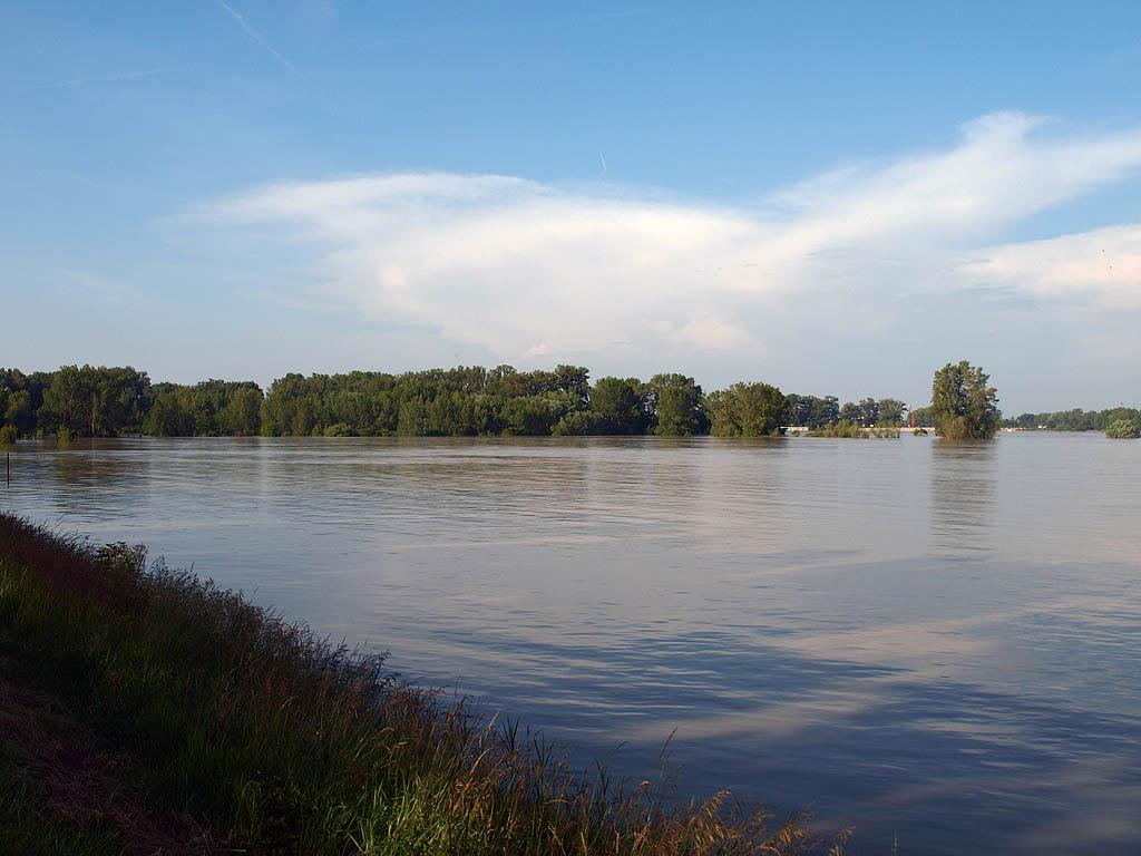 Bratislava: vysoký Dunaj, 7.6.2013 Bratislava