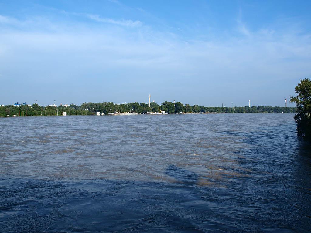 Bratislava: vysoký Dunaj, 7.6.2013 Bratislava