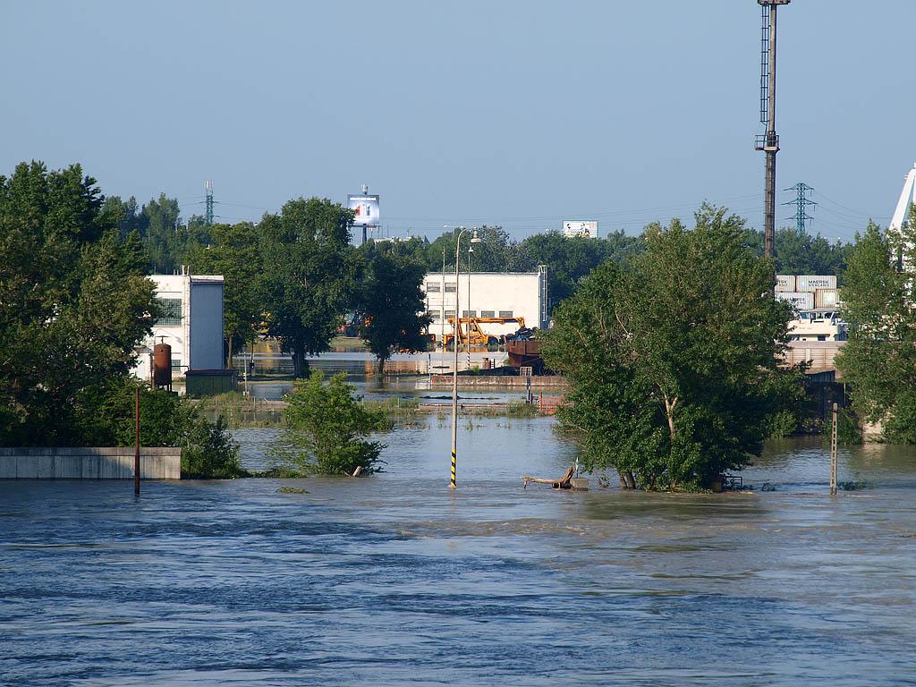 Bratislava: vysoký Dunaj, 7.6.2013 Bratislava