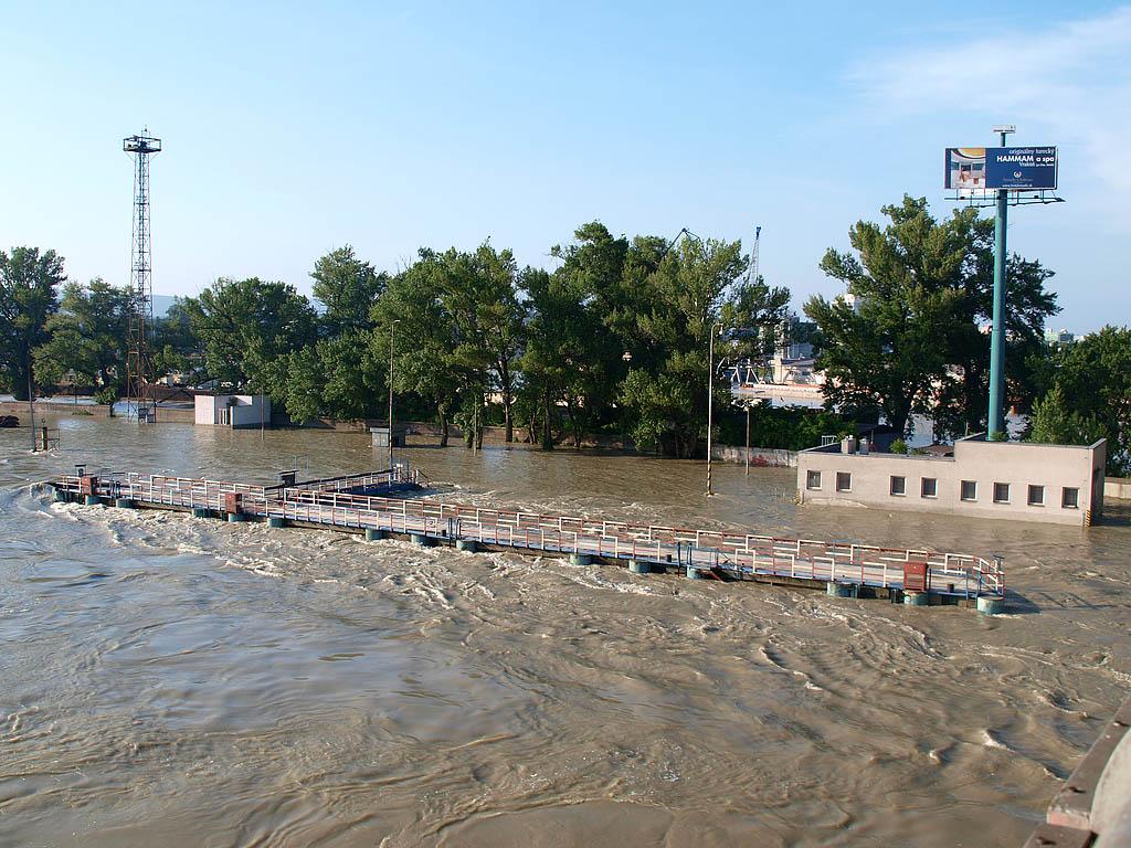 Bratislava: vysoký Dunaj, 7.6.2013 Bratislava