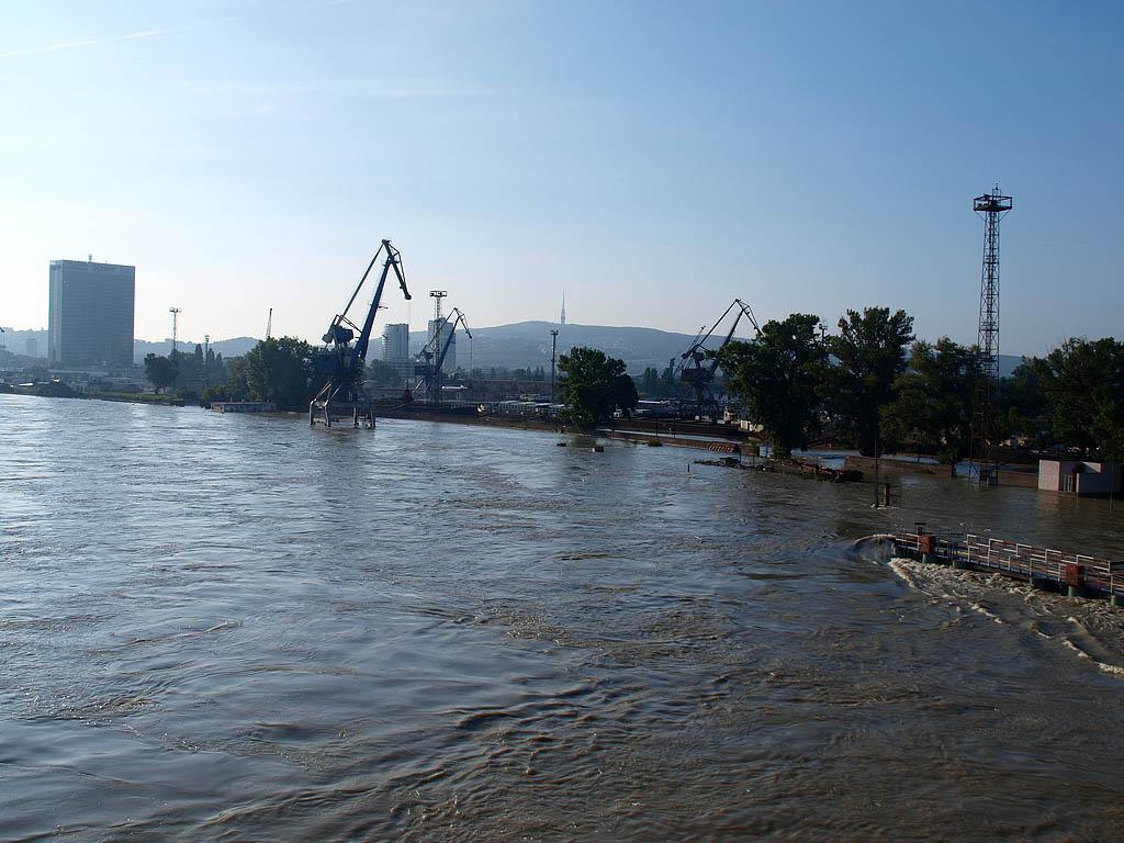 Bratislava: vysoký Dunaj, 7.6.2013 Bratislava
