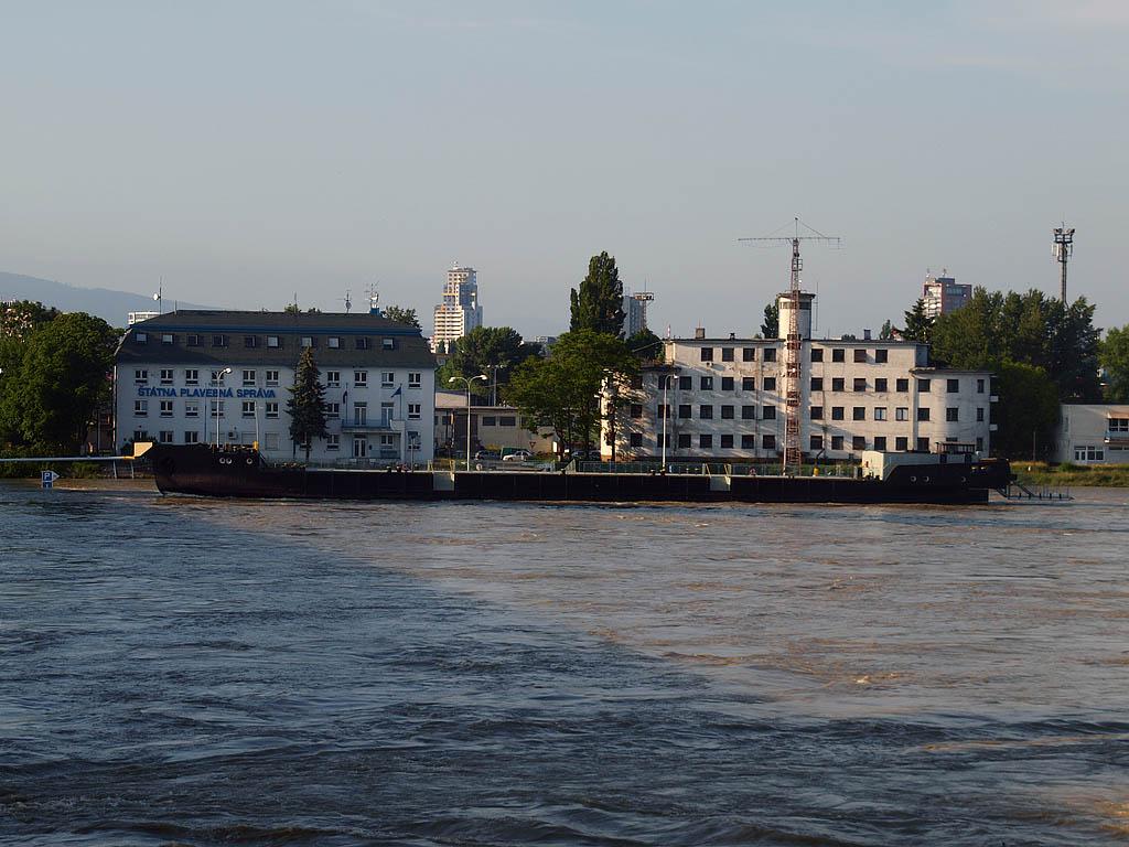 Bratislava: vysoký Dunaj, 7.6.2013 Bratislava