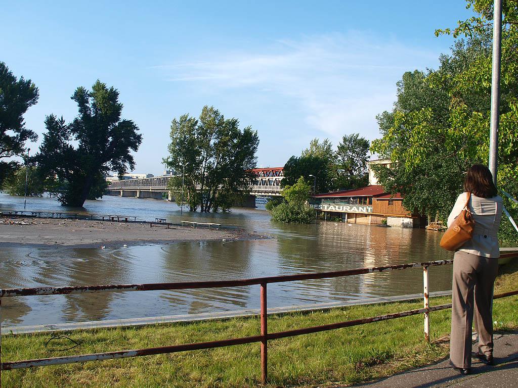 Bratislava: vysoký Dunaj, 7.6.2013 Bratislava