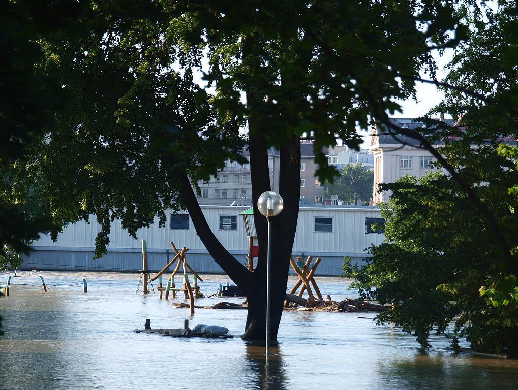 Bratislava: vysoký Dunaj, 7.6.2013 Bratislava