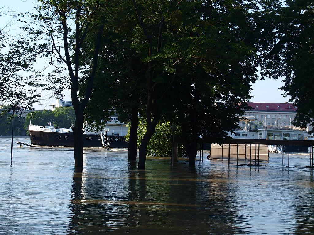Bratislava: vysoký Dunaj, 7.6.2013 Bratislava