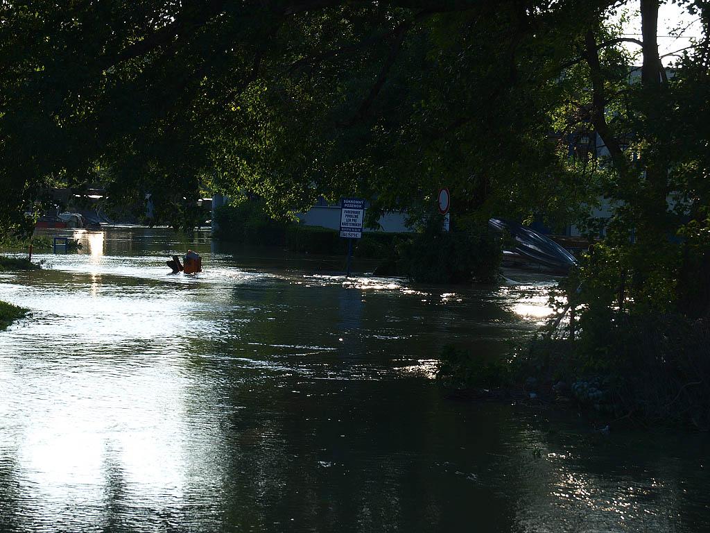 Bratislava: vysoký Dunaj, 7.6.2013 Bratislava