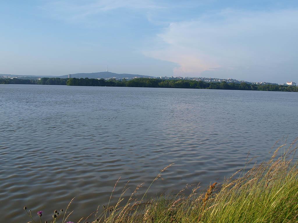 Bratislava: vysoký Dunaj, 7.6.2013 Bratislava