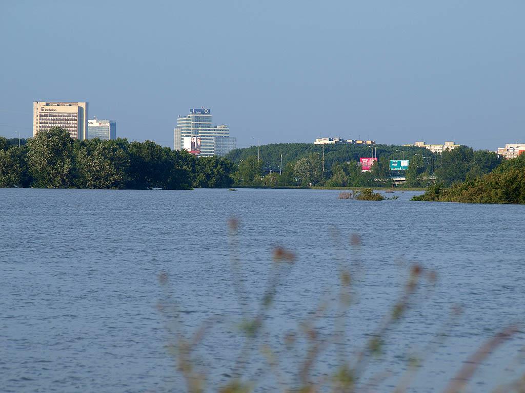 Bratislava: vysoký Dunaj, 7.6.2013 Bratislava