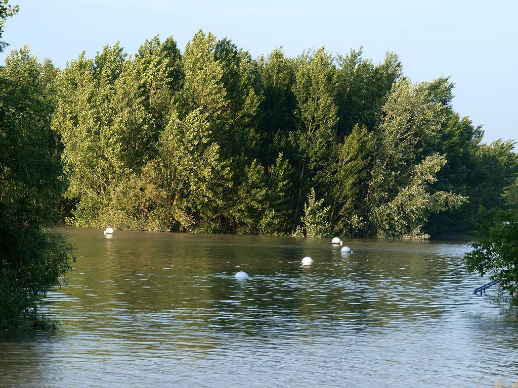 Bratislava: vysoký Dunaj, 7.6.2013 Bratislava