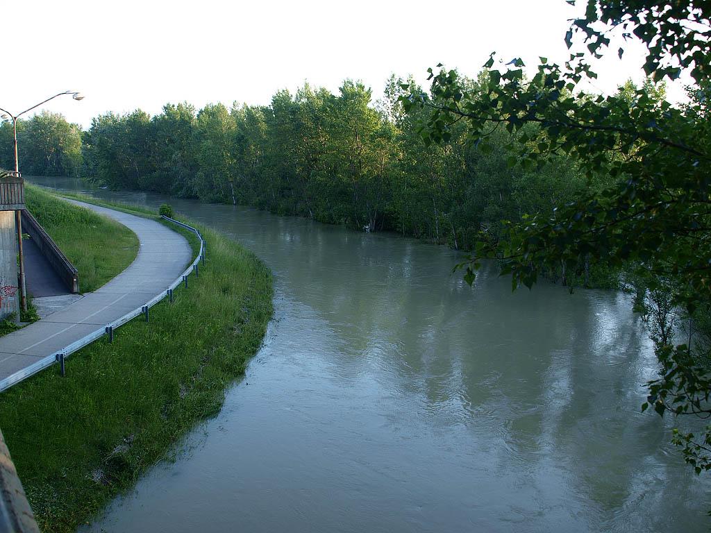 Bratislava: vysoký Dunaj, 7.6.2013 Bratislava