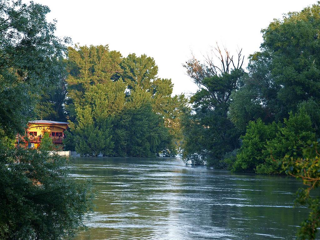 Bratislava: vysoký Dunaj, 7.6.2013 Bratislava