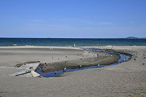 Bulharsko, Burgas